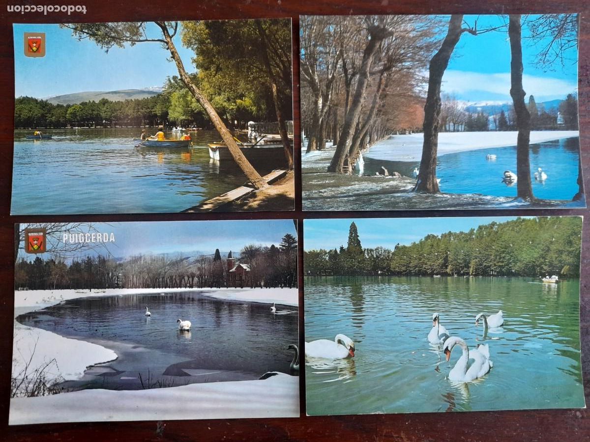 Postales: Una postal vintage del lago de Puigcerda en verano o invierno con cisnes, 4 tarjetas a elegir