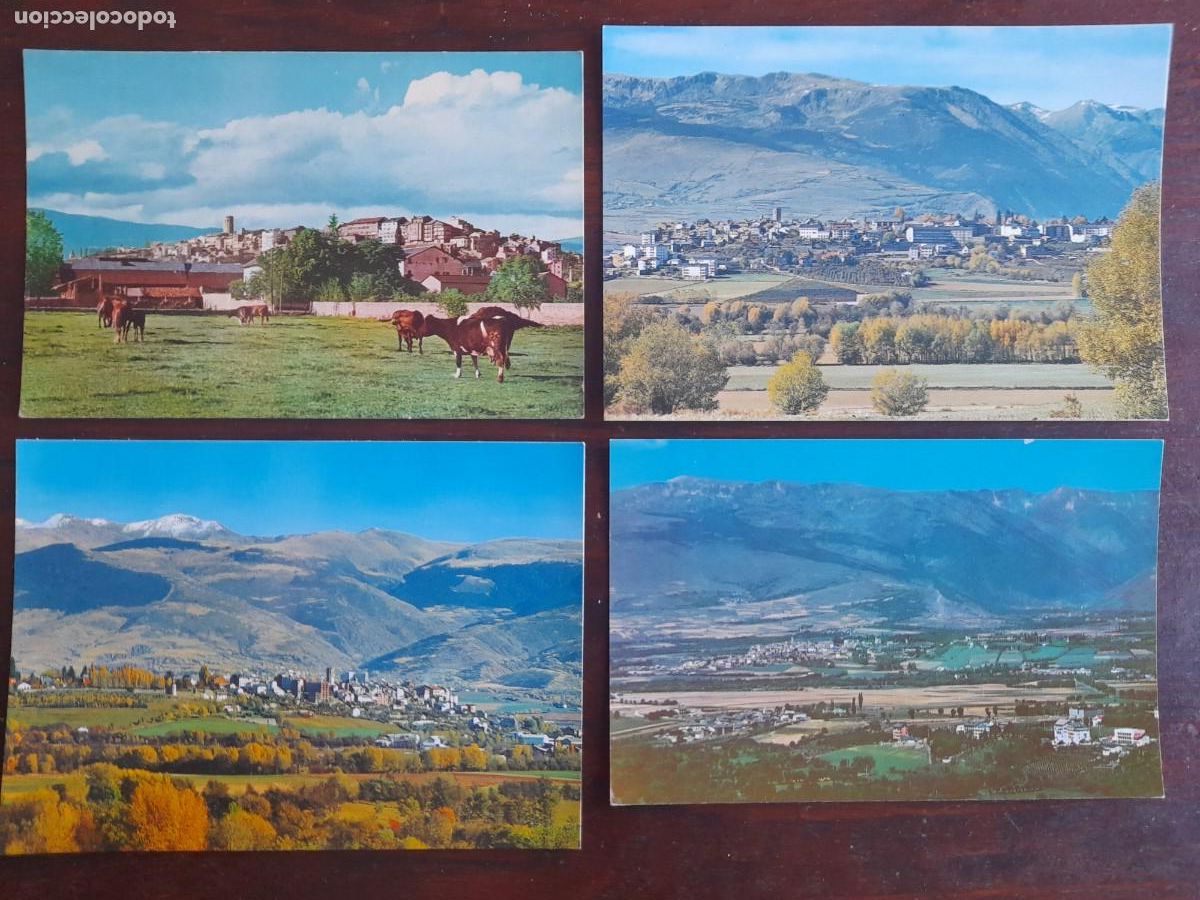 Postales: Una postal vintage 60&acute;s vacas pastando frente a Puigcerda, 4 tarjetas a elegir