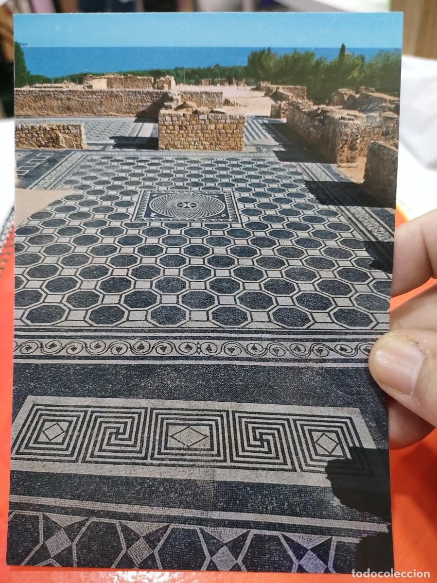 Postales: Postal AMPURIAS Costa Brava MOSAICOS ROMANOS N 327 CATALAN IBARZ SC