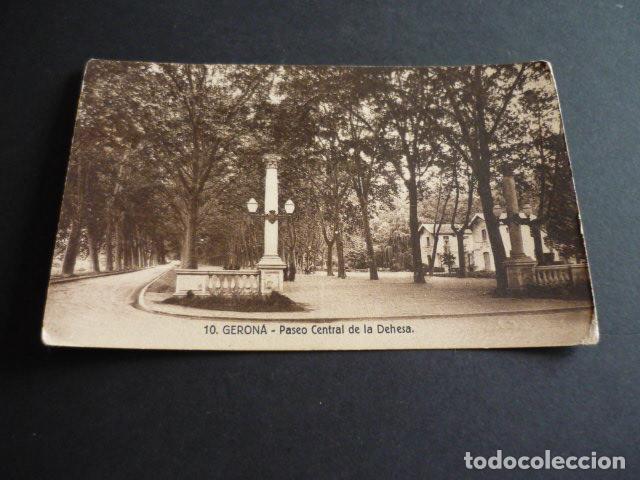 Postales: GERONA PASEO CENTRAL DE LA DEHESA - Foto 1