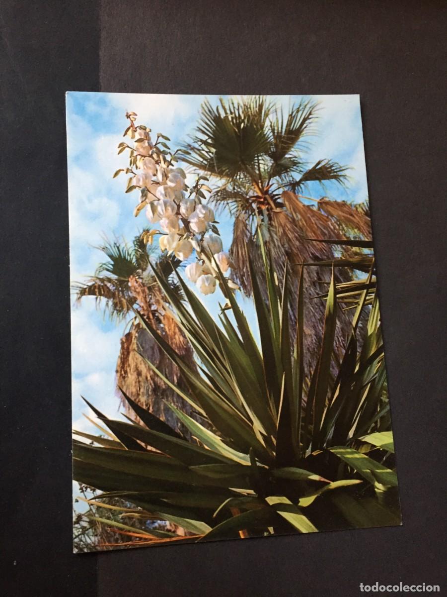 Postcards: LOTE DE 4 POSTALES DE CATALU&Ntilde;A -VER FOTOS QUE NO TE FALTE EN TU COLECCI&Oacute;N