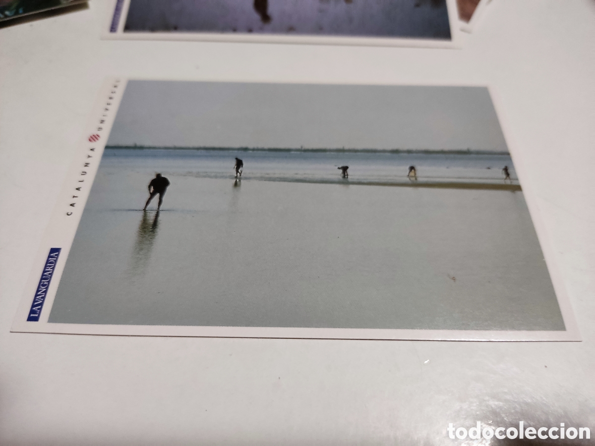 Postal Catalunya Universal