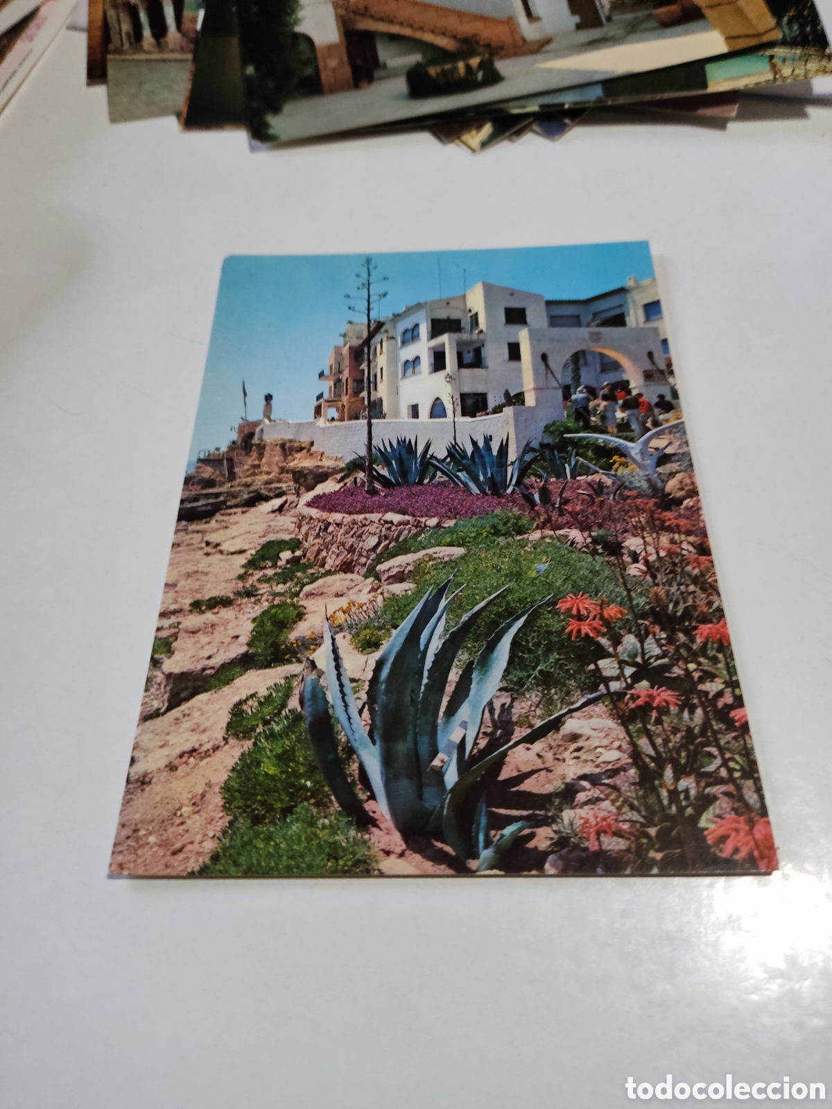 Postales: Postal Roda de Bara
