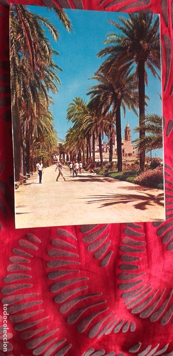 Postales: BARCELONA-RVD-150X105mm.-NO ESCRITA-SITGES-N&ordm;2001-EL PASEO Y SUS TIPICAS PALMERAS