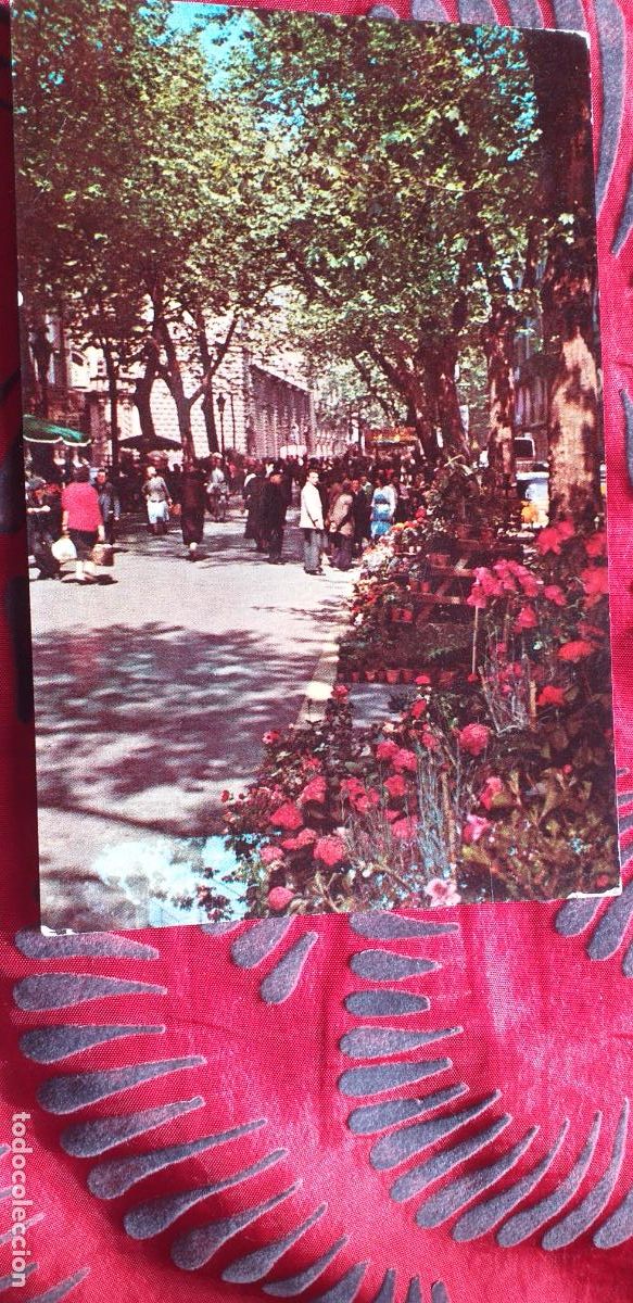 Postales: BARCELONA-RVD-150X105mm.-ESCRITA-N&ordm;170-RAMBLA DE LAS FLORES