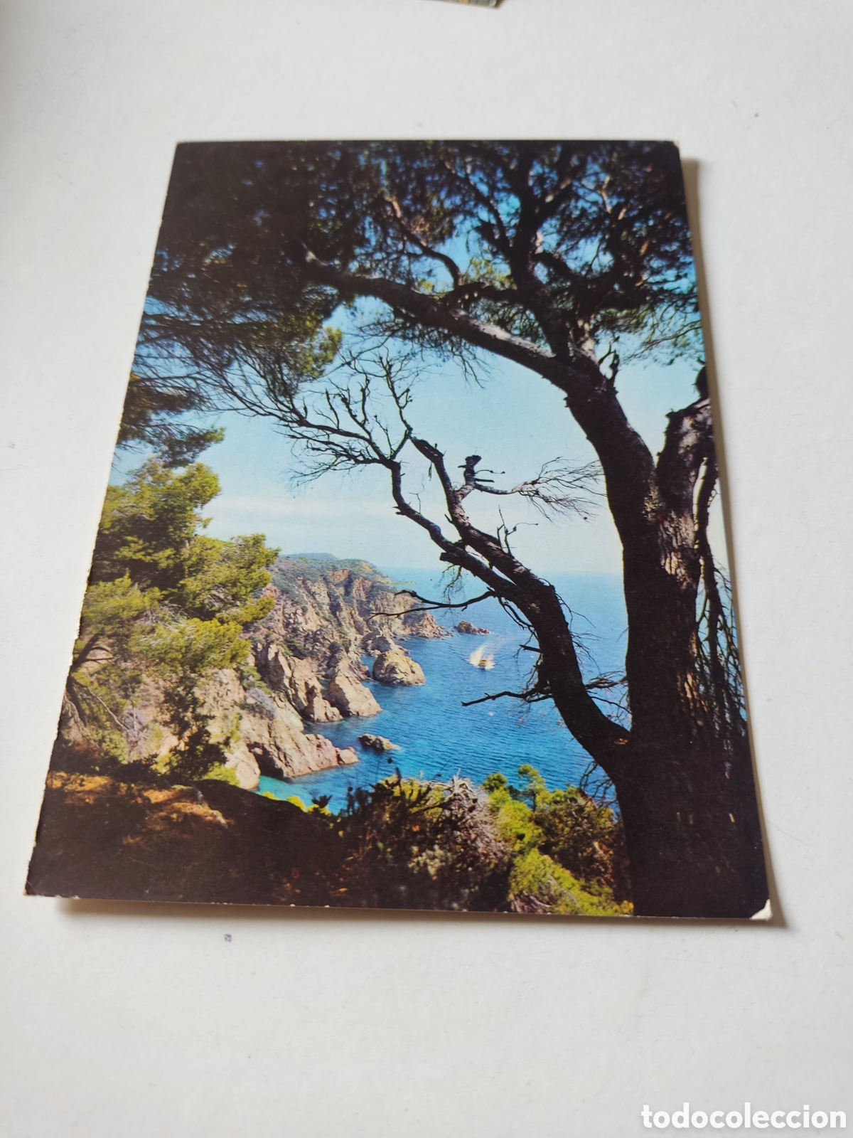 Postales: Postal Lloret de Mar - Foto 1