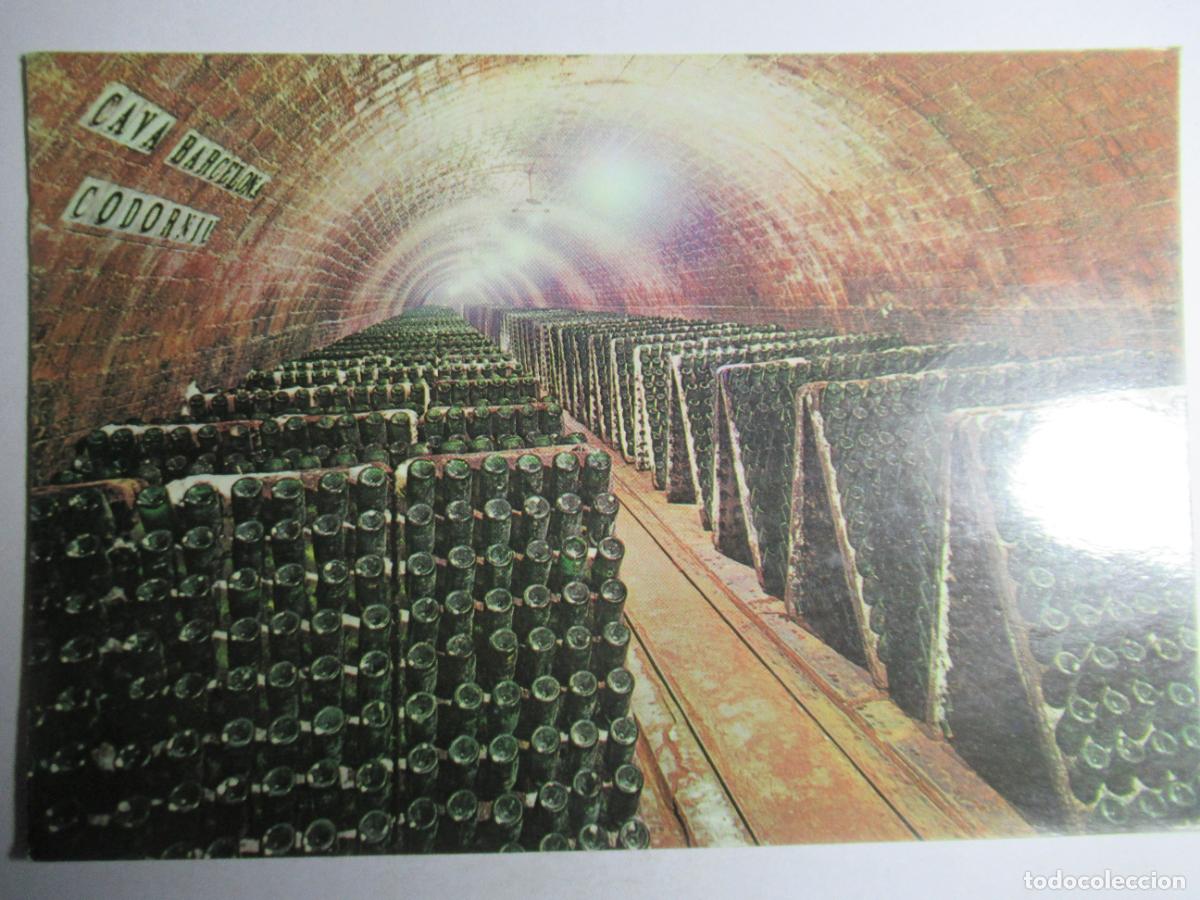 Postales: Cavas Codorniu - Botellas en Pupitre - Foto 1