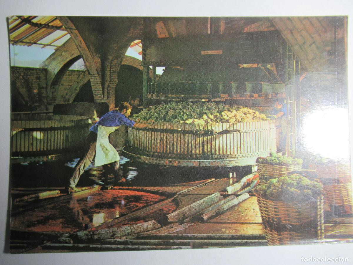 Postales: Cavas Codorniu - Prensado de la uva - Foto 1