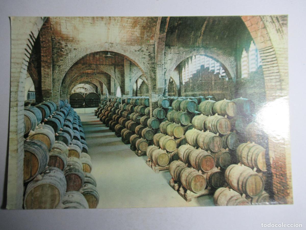 Postales: Cavas Codorniu - Una Bodega - Foto 1