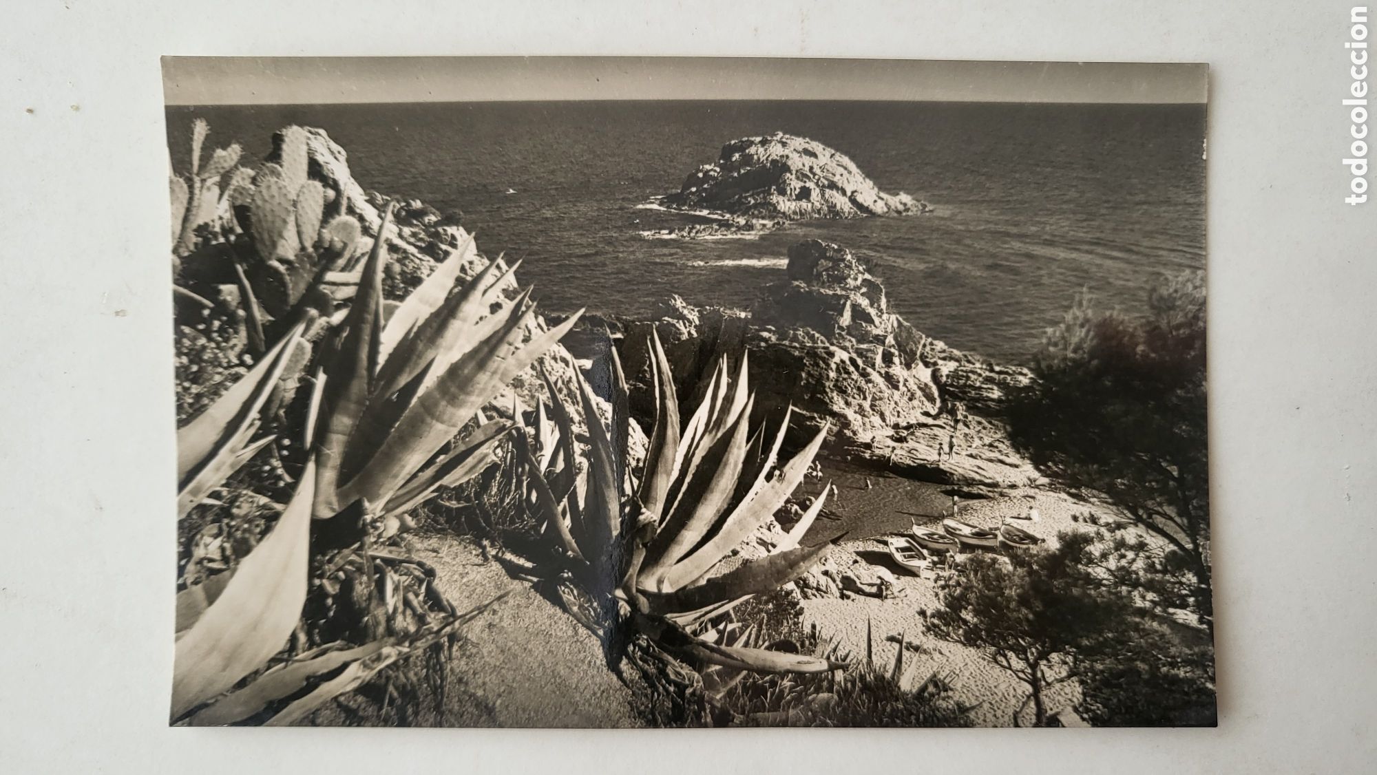 Cartoline: POSTAL TOSSA DE MAR (COSTA BRAVA) CAMPA&Ntilde;&Aacute; PUIG-FERRAN, ILLA I MAR MENUDA, SERIE I - N&deg; 2298, S/C