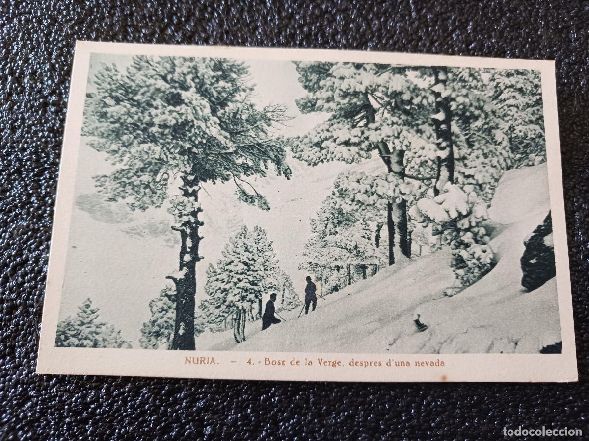 Postkarten: nuria 4, bosc de la verge despres d`una nevada, centre excursionista de catalunya