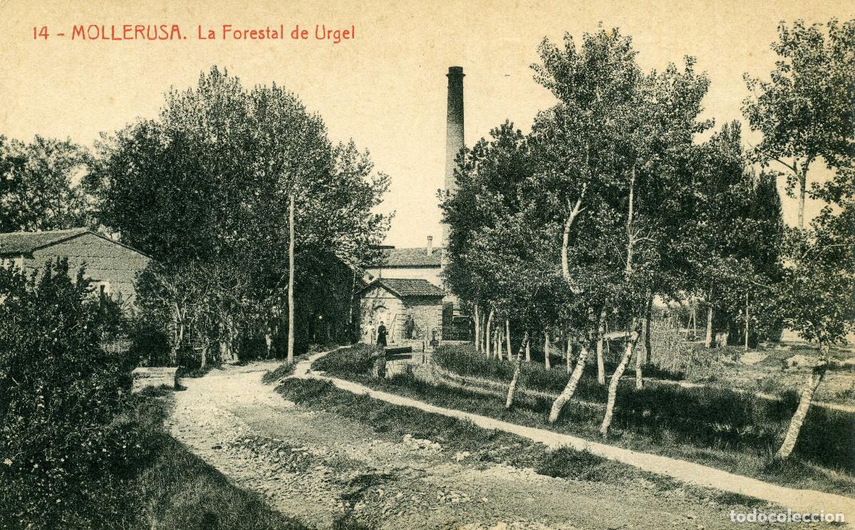 Postales: MOLLERUSA - LA FORESTAL DE URGEL - Foto 1