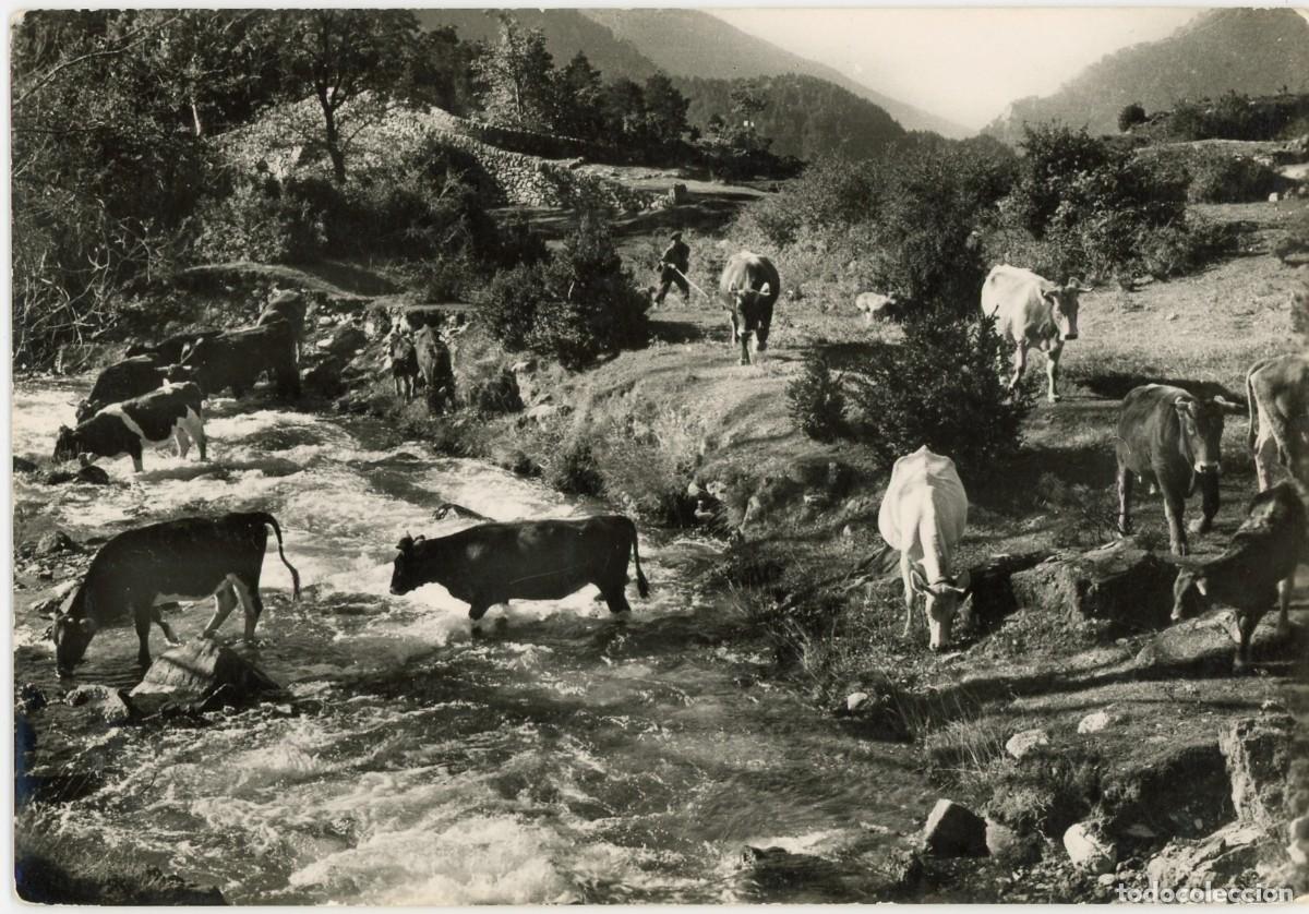 Postkarten: a09429 castellar de n'hug la farga vella puig n&ordm;51 sc