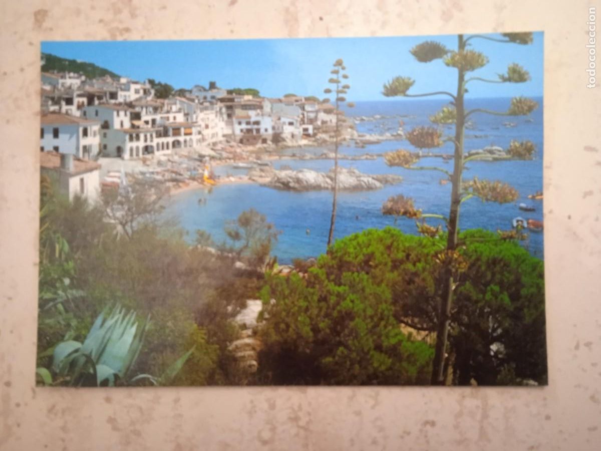 Postales: COSTA BRAVA - CALELLA DE PALAFRUGELL - Foto 1