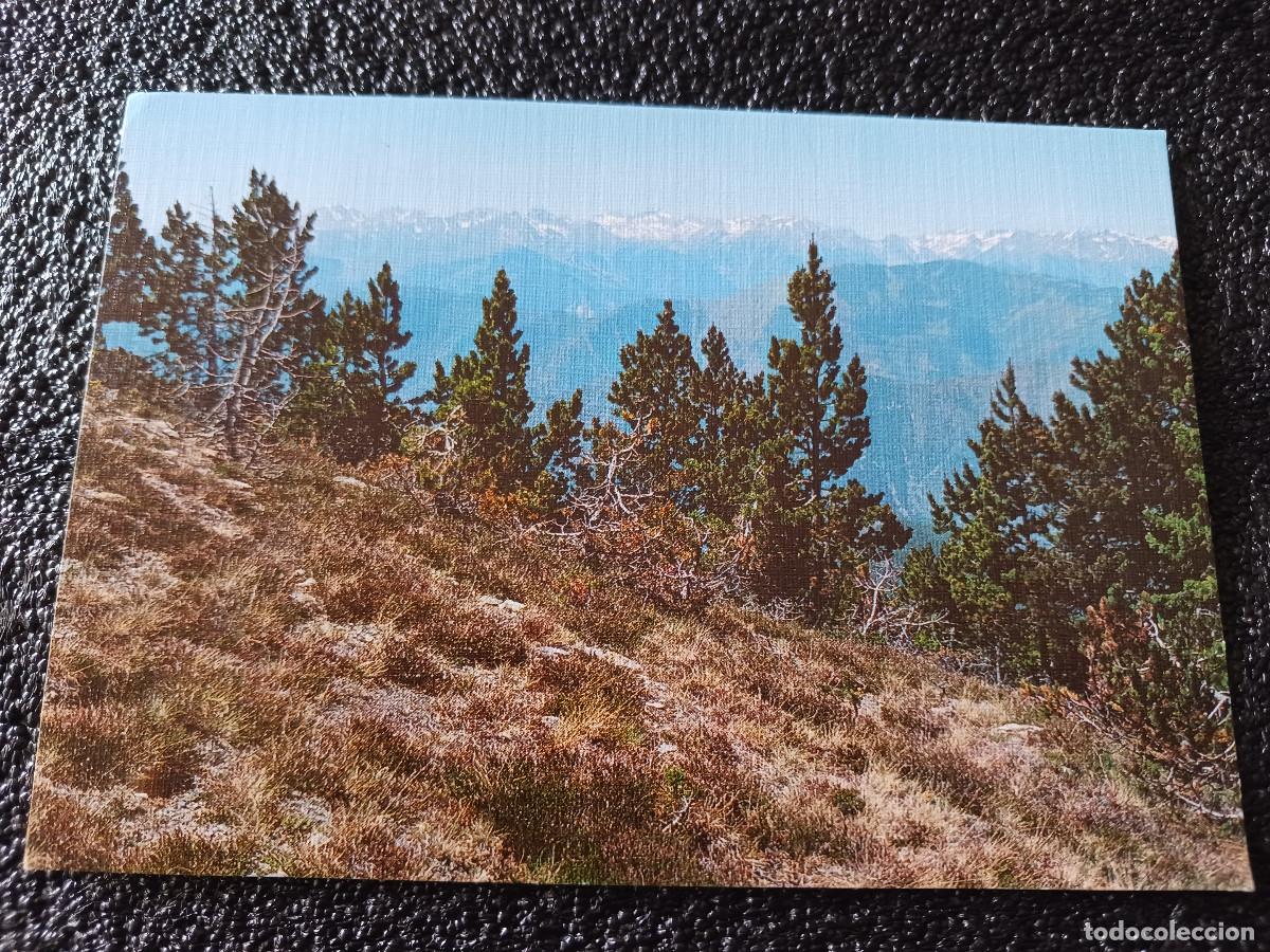 Postales: 190 PALLARS SOBIRA. EL MUNTANYAN DE LA VALL FARRERA I ANDORRA. ED. SICILIA circulada 1985