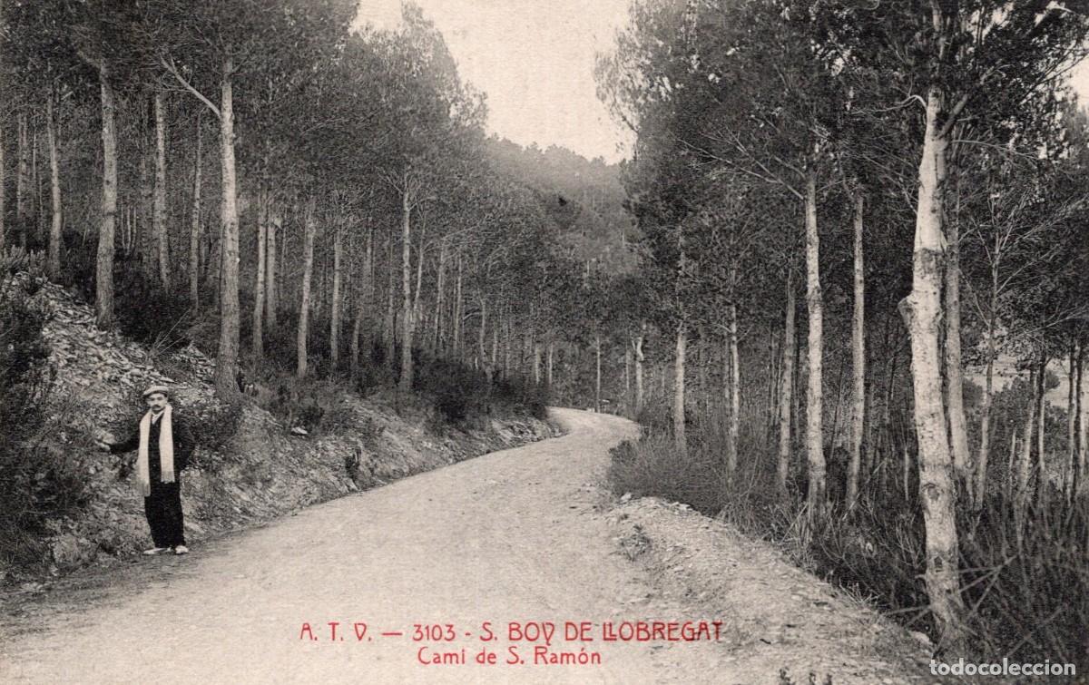 Postales: SANT BOY DE LLOBREGAT. ATV 3103. CAM&Iacute; DE SAN RAMON
