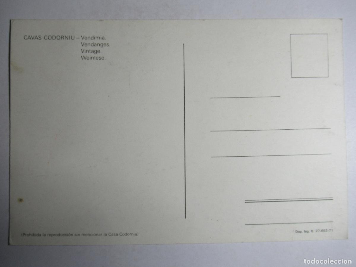 Postales: Cavas Codorniu - Vendimia - Foto 2