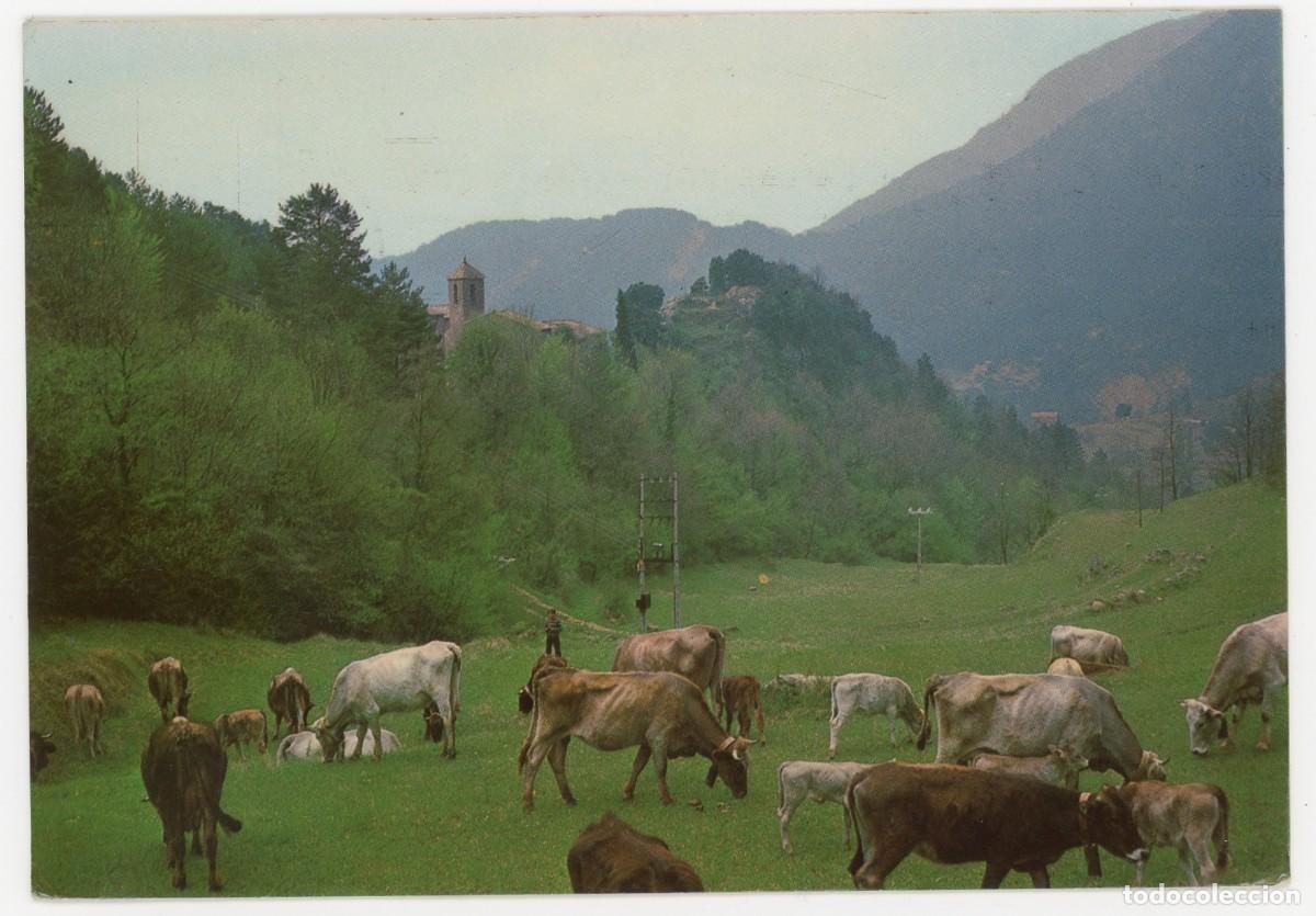 Postales: m09930 castell de l'areny paisage 1978 vert n&ordm;3 circulada
