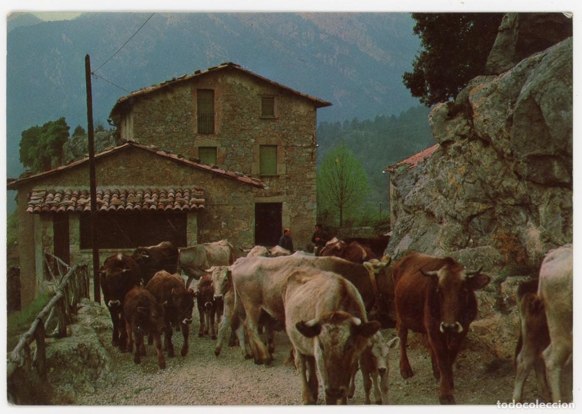 Cartoline: m09932 castell de l'areny detall pintoresc 1978 vert n&ordm;6 circulada