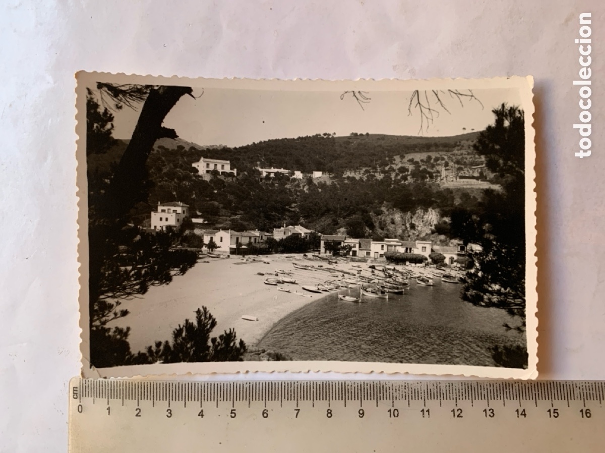 Postales: POSTAL. PALAFRUGUELL. COSTA BRAVA. PLAYA DE TAMARIU. FOTO PUIGNAU.