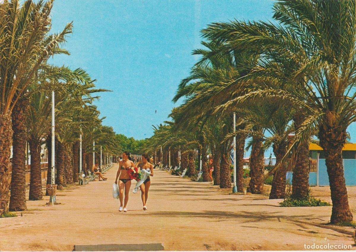 Postales: (1214) CALELLA DE MAR . PASEO - Foto 1