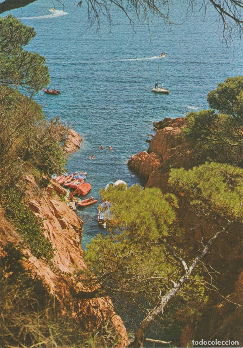 Postales: (4054) COSTA BRAVA. DETALLE DE LA COSTA