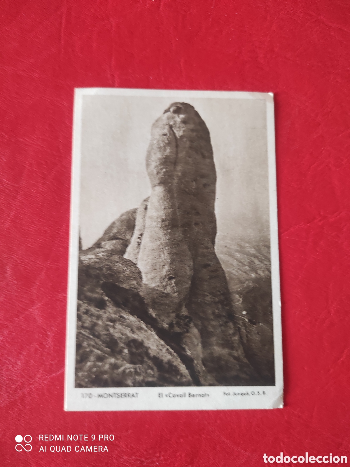 Postales: Antigua postal de monasterio de Montserrat, el cavall Bernat, sin circular