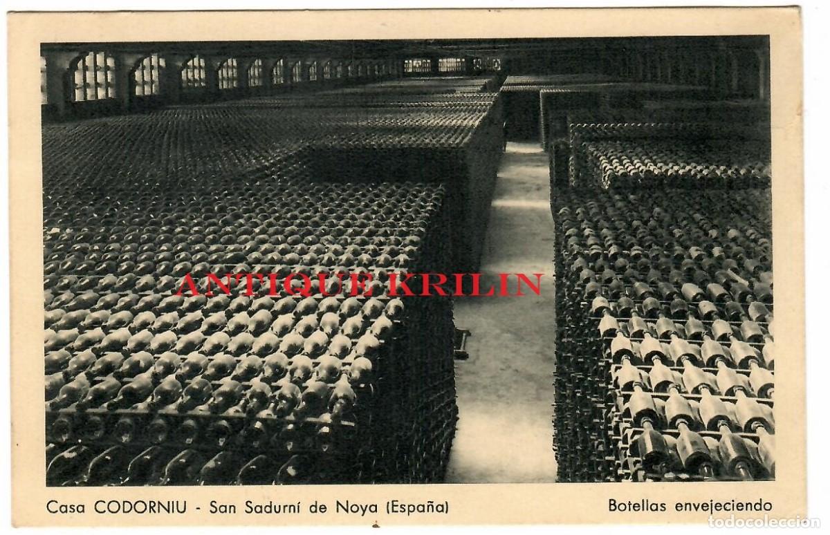 Postales: SAN SADURNI DE NOYA / CASA CODORNIU / BOTELLAS ENVEJECIENDO / CIRCULADA 1959