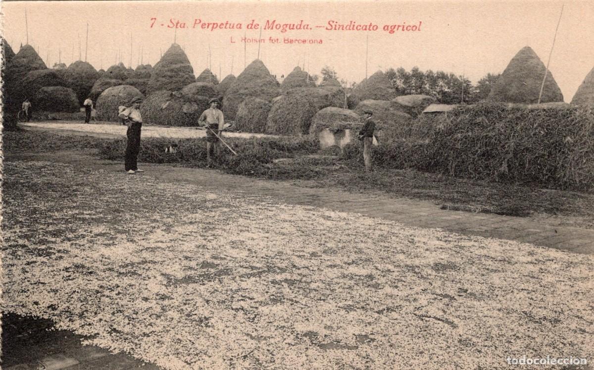 Postales: SANTA PERPETUA DE MOGUDA. 7 SINDICATO AGR&Iacute;COLA. ROISIN