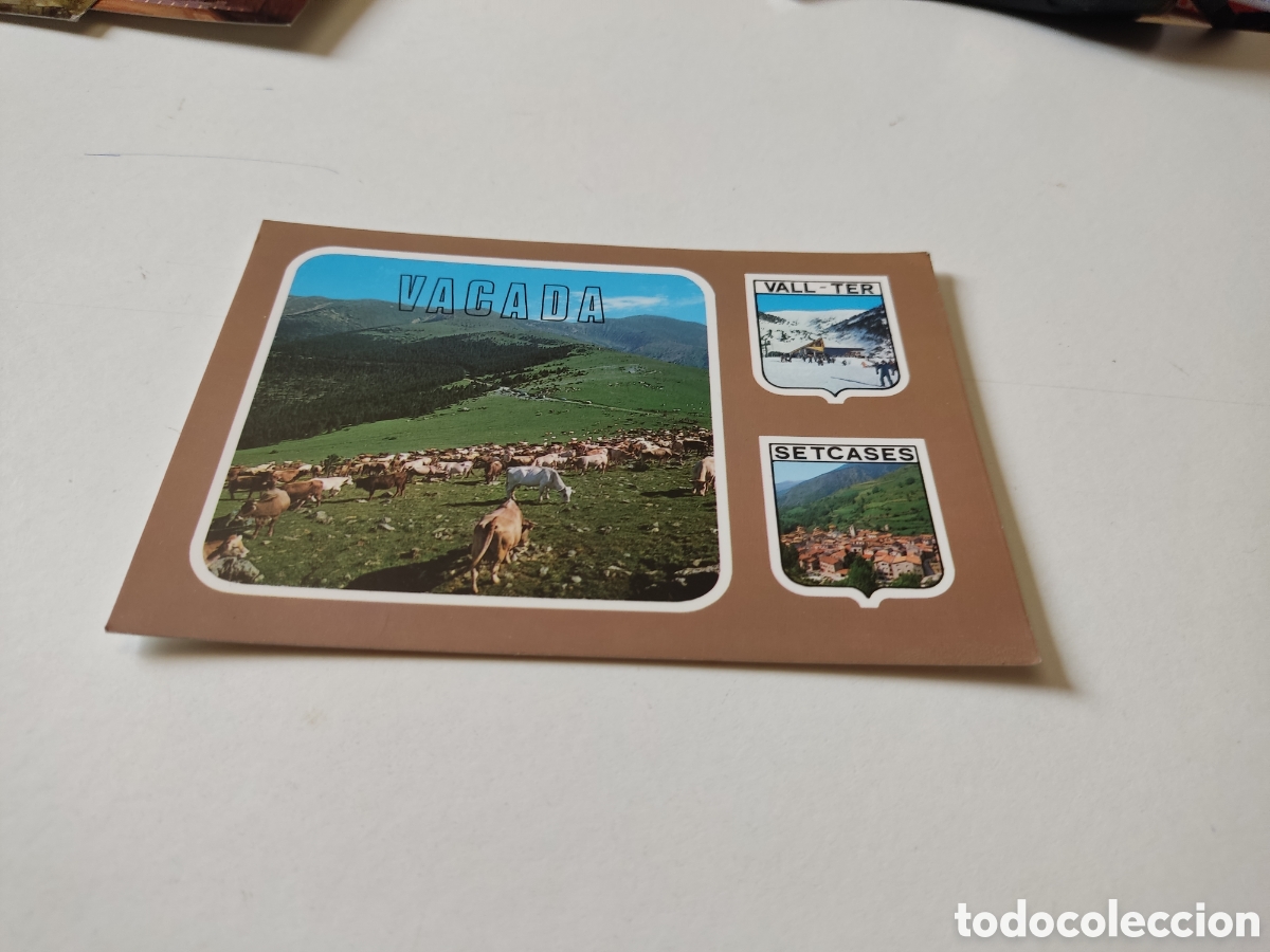 Postales: Postal vacada vall ter, setcases - Foto 1