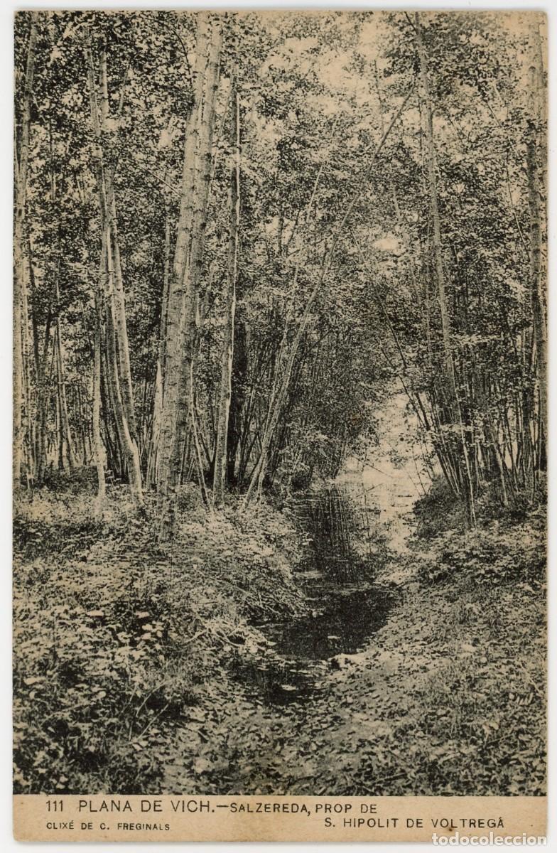 Postales: a09619 plana de vi salzareda prop de sant hipolit de voltrega apec n&ordm;111 sc