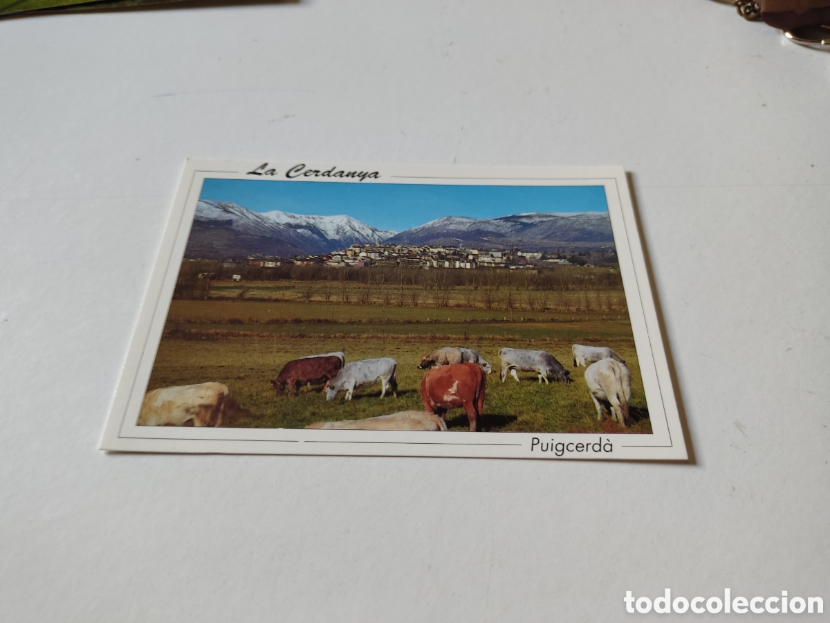 Postales: Postal la cerdanya, puigcerda - Foto 1