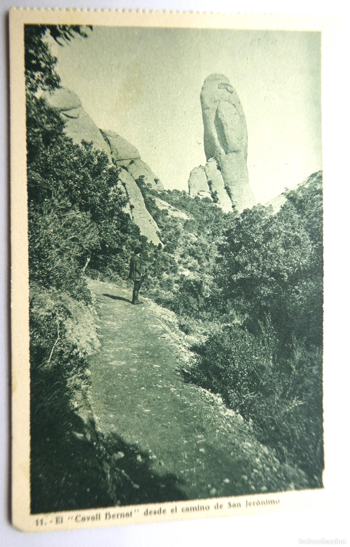 Cartoline: POSTAL DE MONTSERRAT EL CAVALL BERNAT DESDE EL CAMINO DE SAN JERONIMO