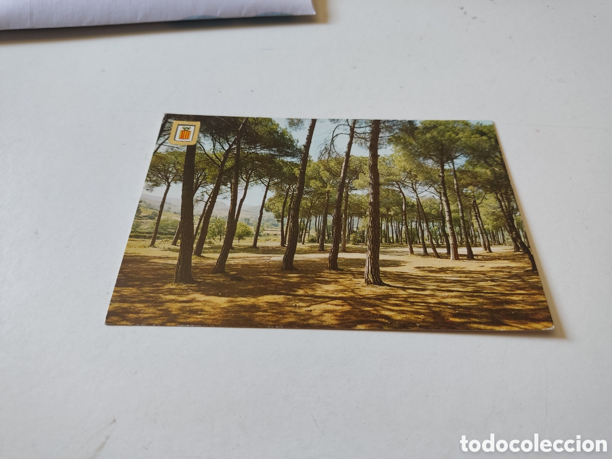 Postales: Postal La Garriga,pinetons de Can Bonell - Foto 1