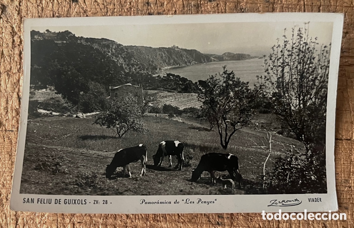 Postales: POSTAL: SAN FELIU DE GUIXOLS N&ordm;28 PANOR&Aacute;MICA DE &rdquo;LES PENYES&rdquo; - ZERKOWITZ