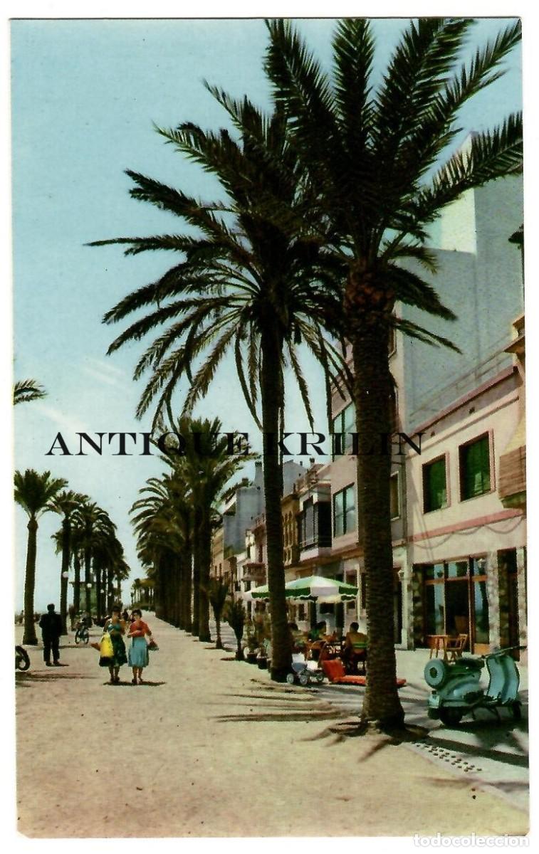 Postales: VILLANUEVA Y GELTRU N&ordm; 4 PASEO MARITIMO / ZERKOWITZ / SIN CIRCULAR