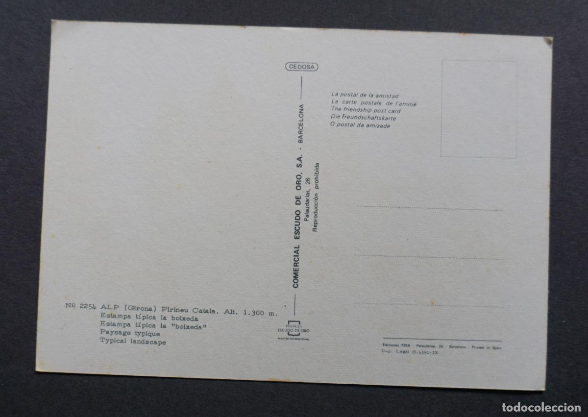 Postales: Alp, Girona, postal sin circular editada en el a&ntilde;o 1966 - Foto 2