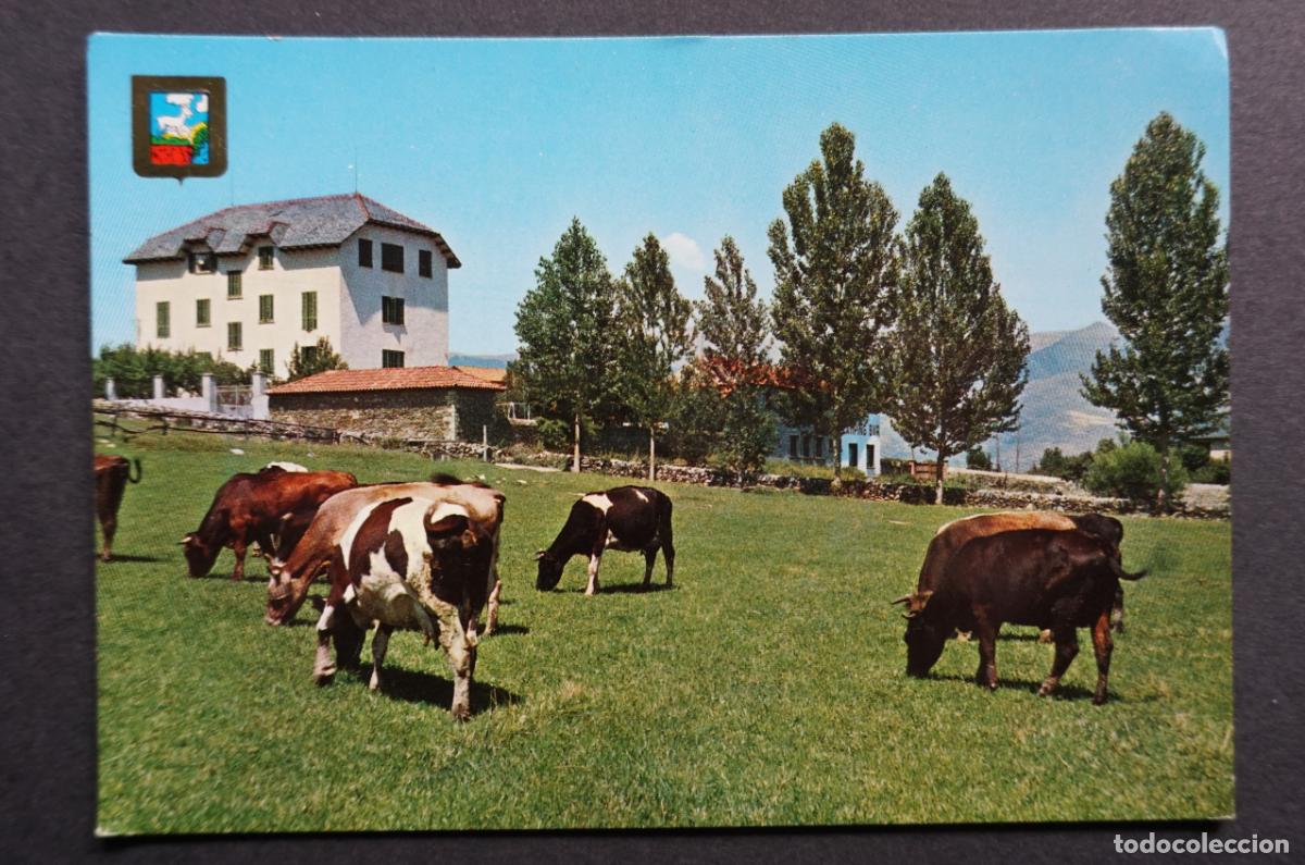 Postales: Alp, Girona, postal sin circular editada en el a&ntilde;o 1966 - Foto 1