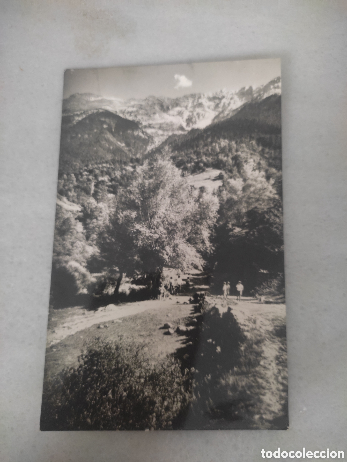 Postales: Buenas postal de bastanist la sierra del cadi al fondo
