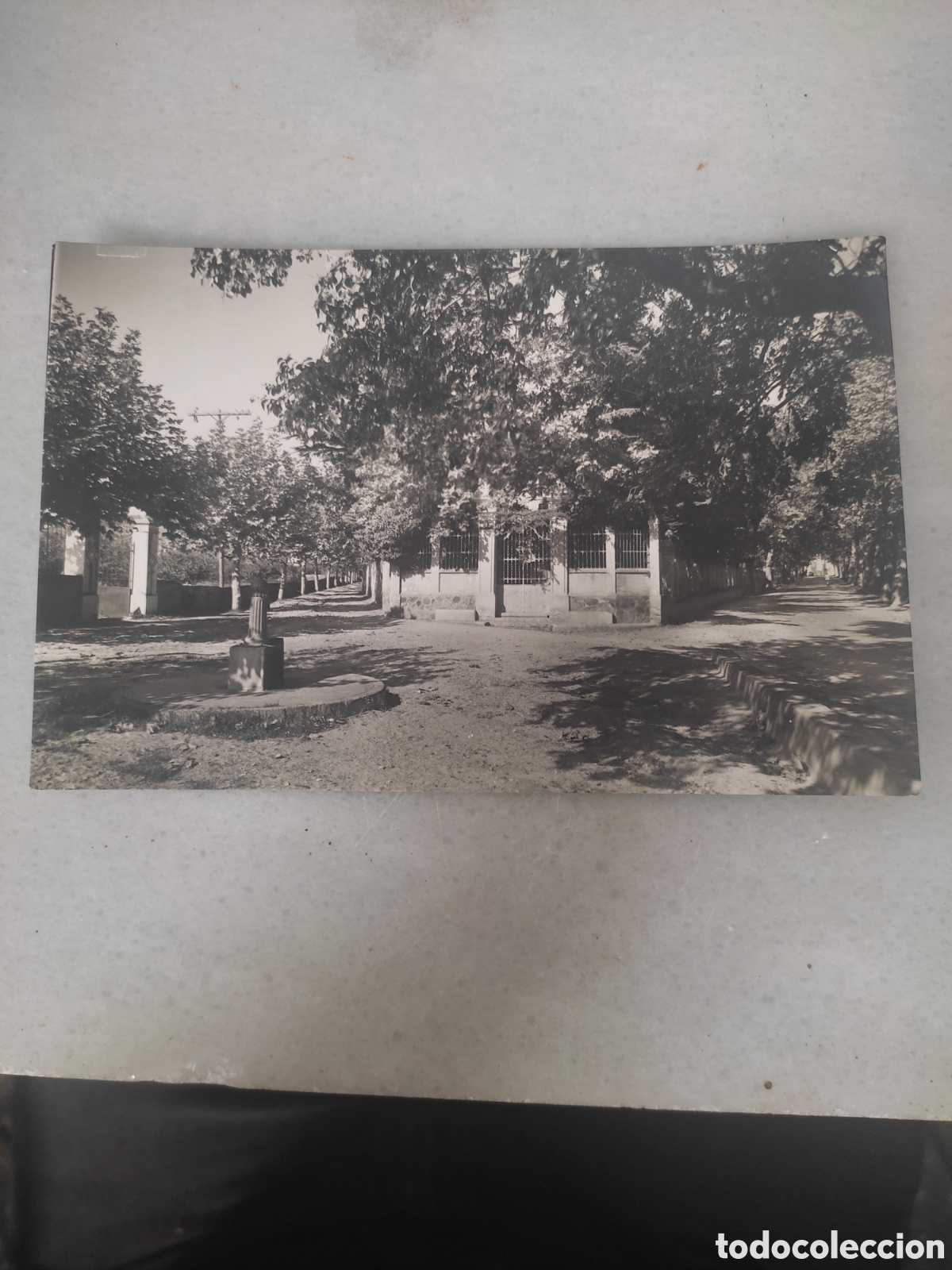 Postcards: Postal 18 borjas del campo entrada a la poblacion