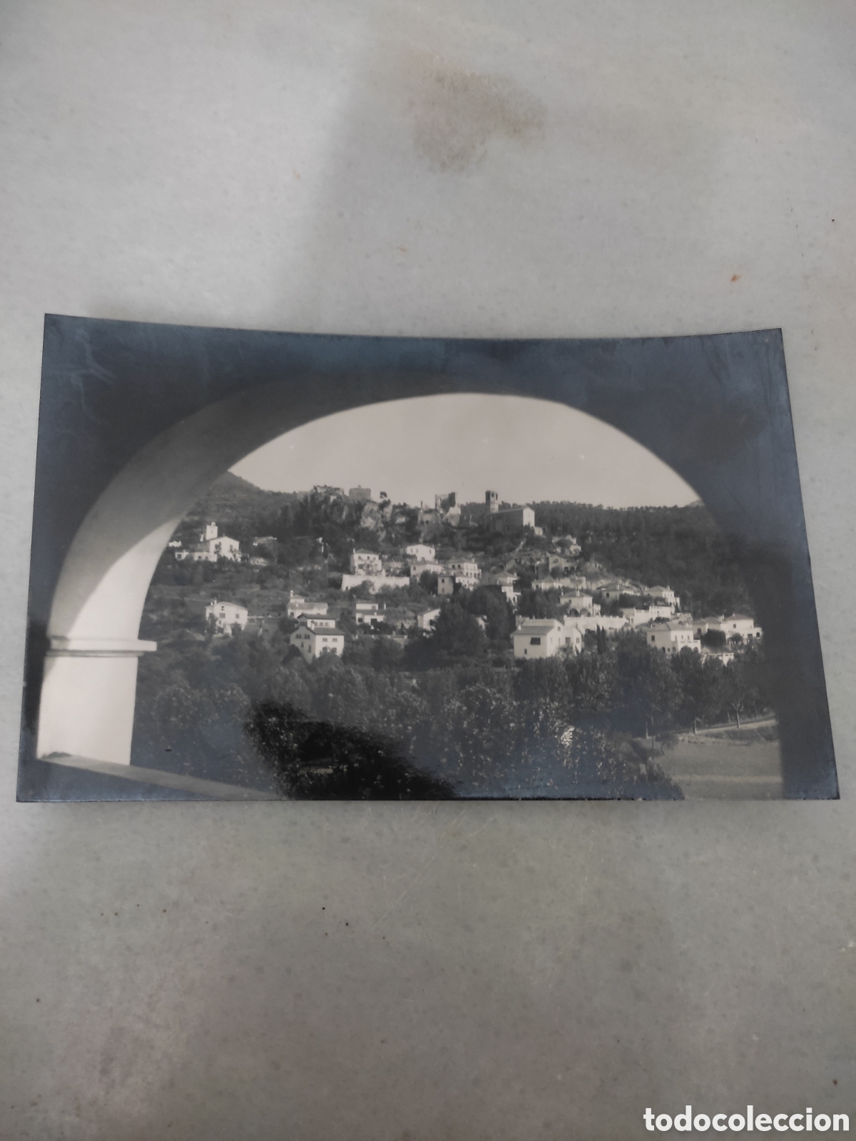 Postcards: Postal n&uacute;mero 12 g&eacute;lida los naranjos