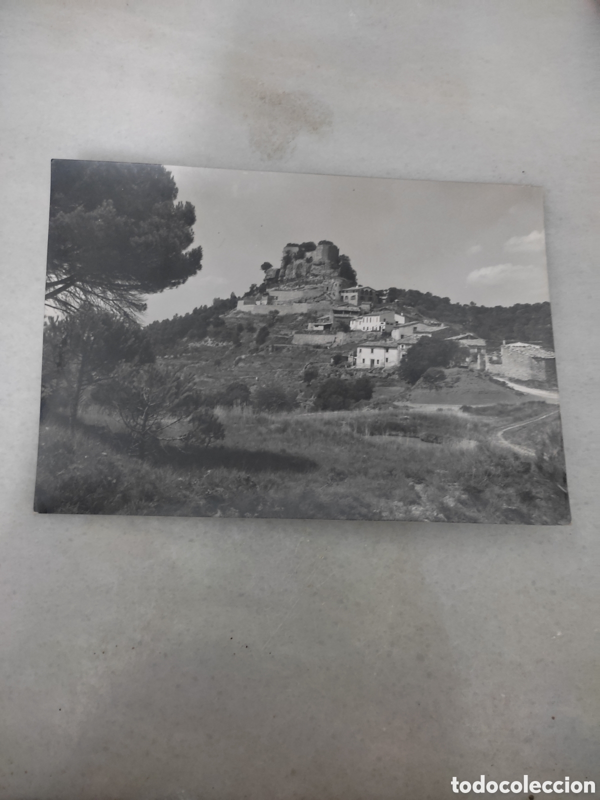 Postcards: Postal granera vista parcial