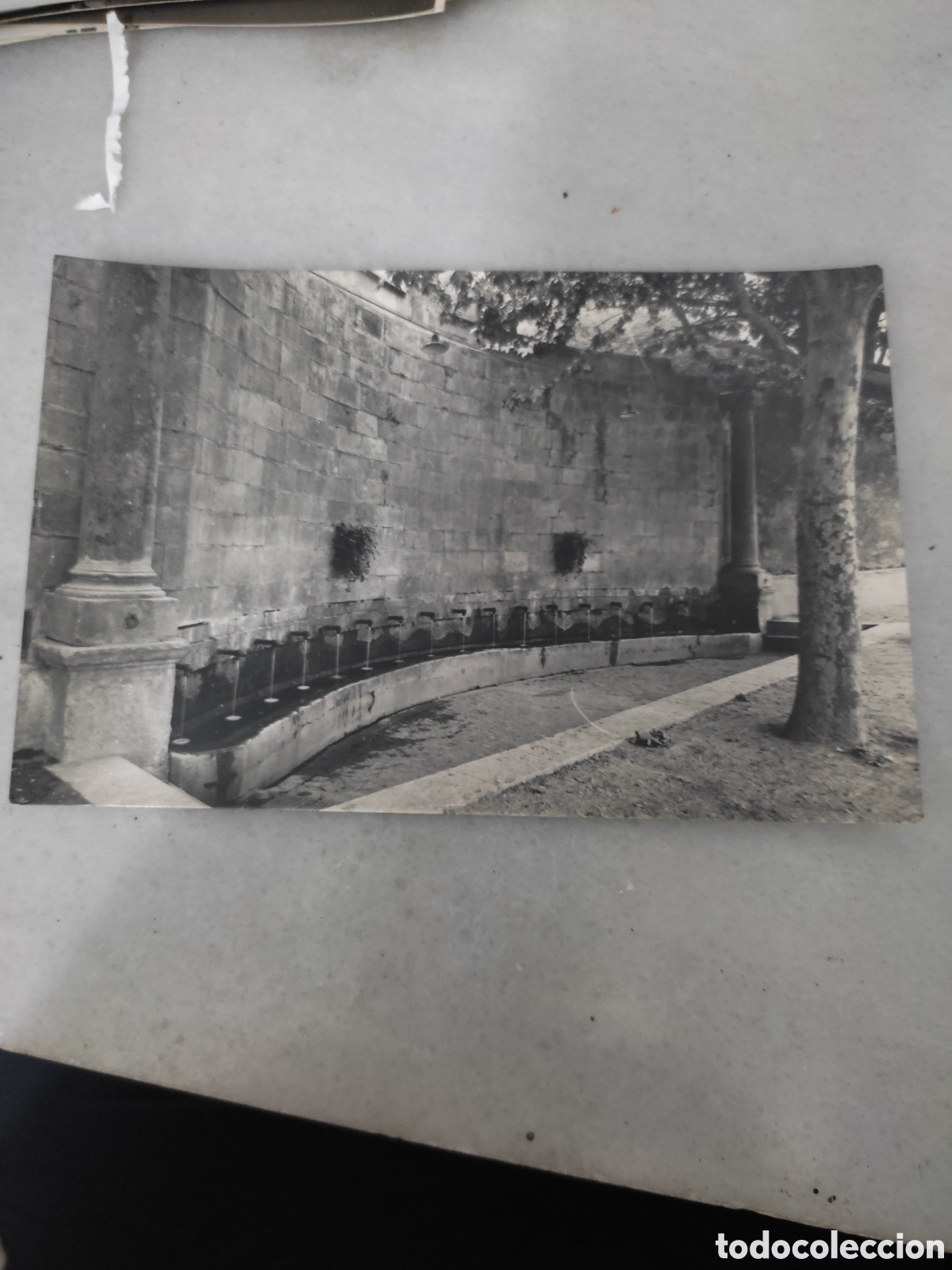 Postcards: Postal espliga de Francol&iacute; t&iacute;pica font baixa