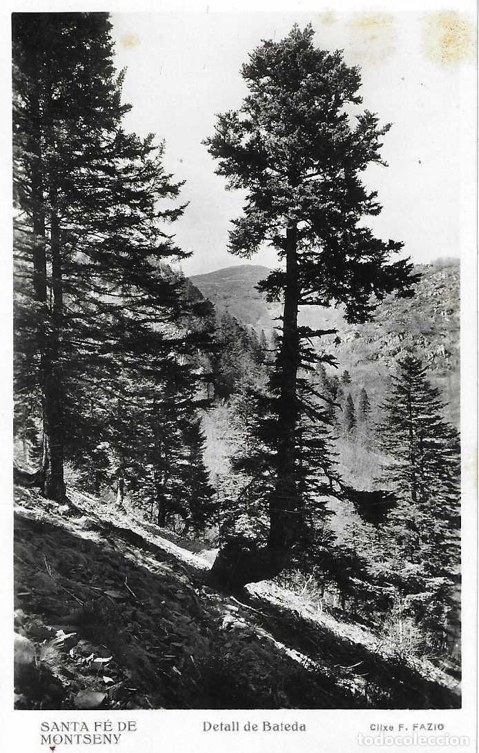 Postkarten: SANTA FE DEL MONTSENY - DETALL DE BATEDA - CLIXE F. FAZIO - CIRCULADA 1945
