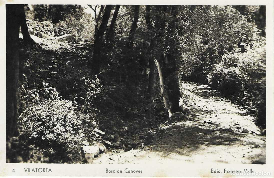 Postales: VILATORTA - 4. BOSC DE C&Agrave;NOVES - EDICI&Oacute; FRANCESC VALLS - CIRCULADA