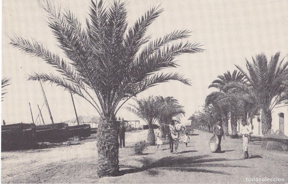 Postales: VILANOVA I LA GELTRU, PASSEIG DEL CARME (1909) - INSTITUT D'ESTUDIS PENEDESENCS - S/C- REPRODUCCI&Oacute;