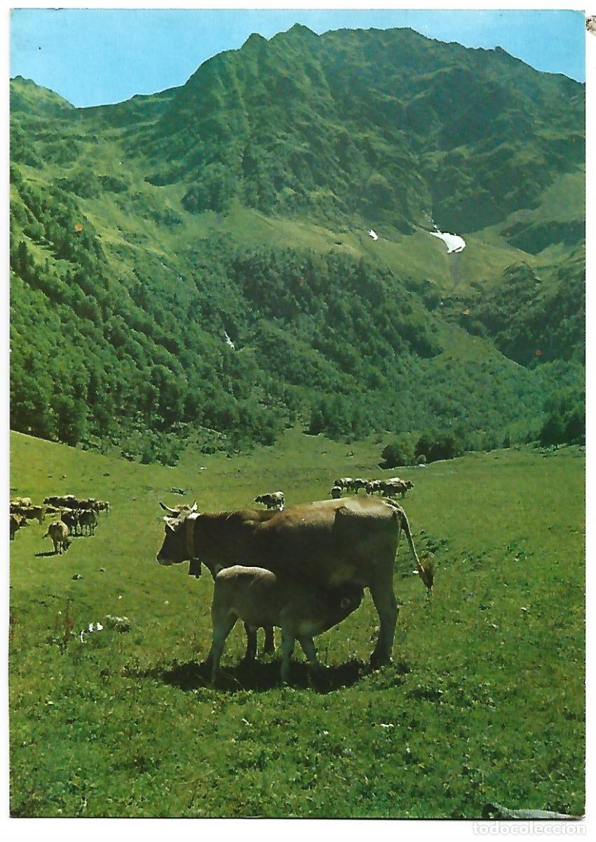 Postales: VALLE DE ARAN.- ARTIGA DE LIN / LLEIDA - Foto 1