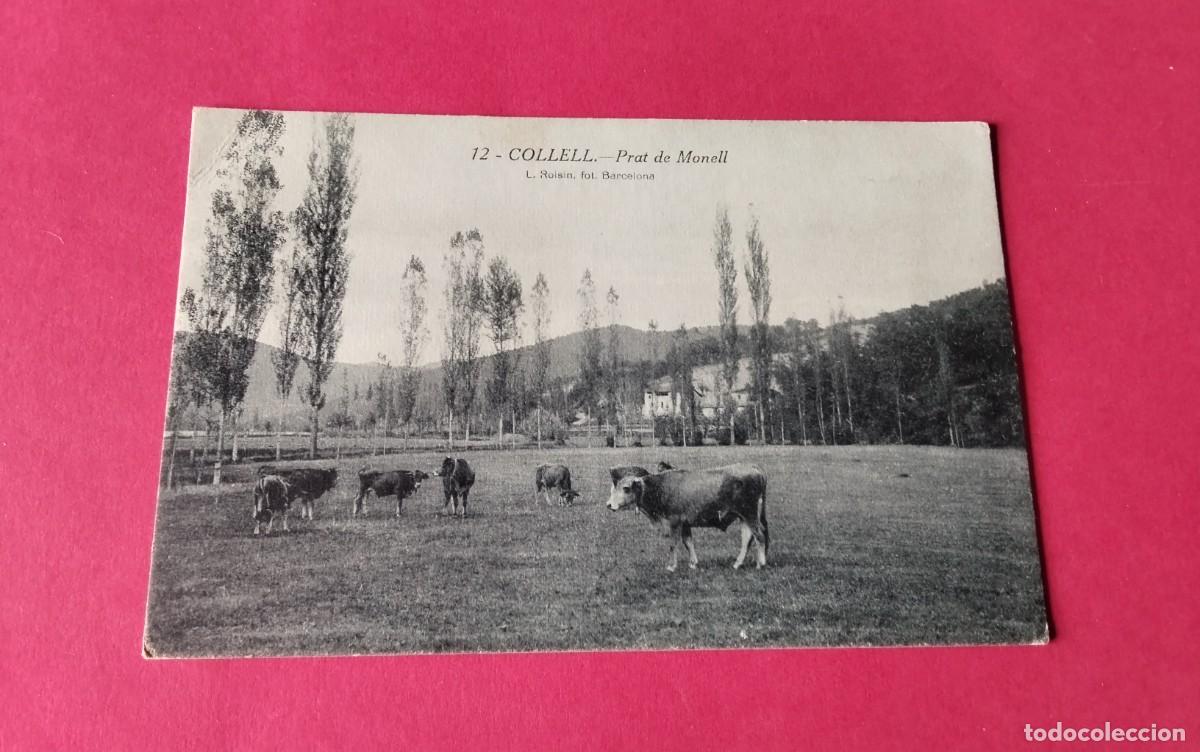 Postales: COLLELL , POSTAL ANTIGUA , BLANCO Y NEGRO , - Foto 1