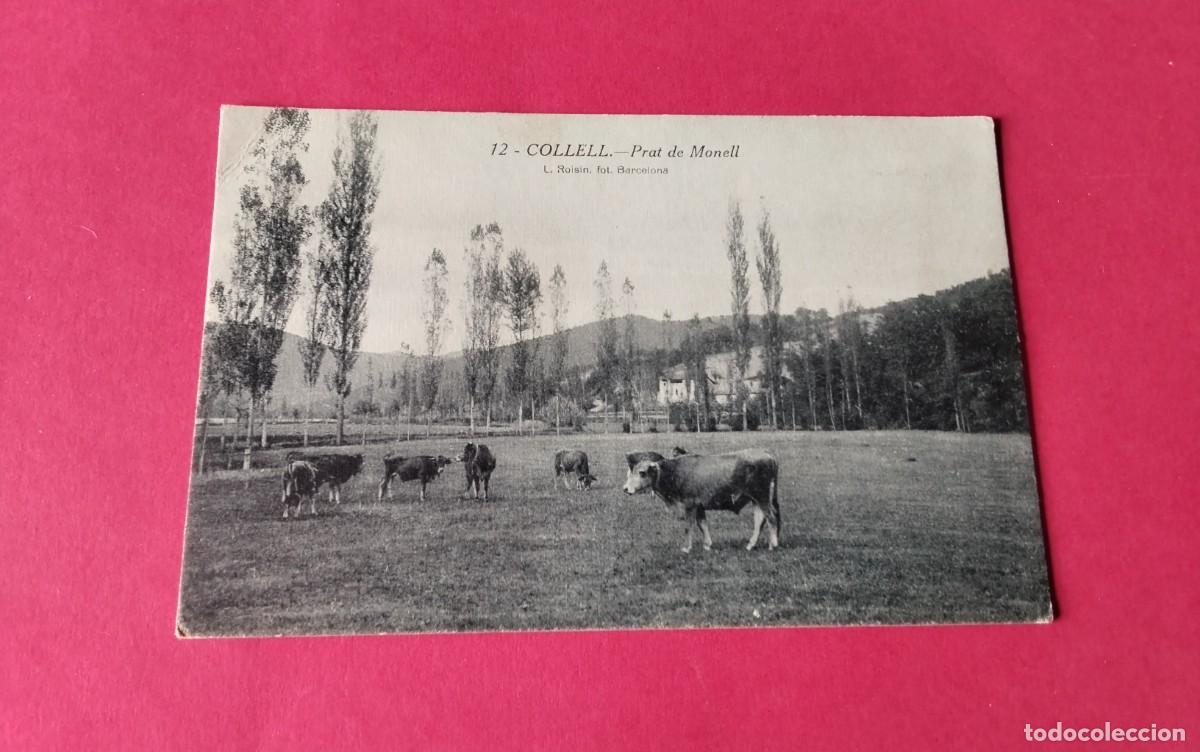 Postales: COLLELL , POSTAL ANTIGUA , BLANCO Y NEGRO , - Foto 2