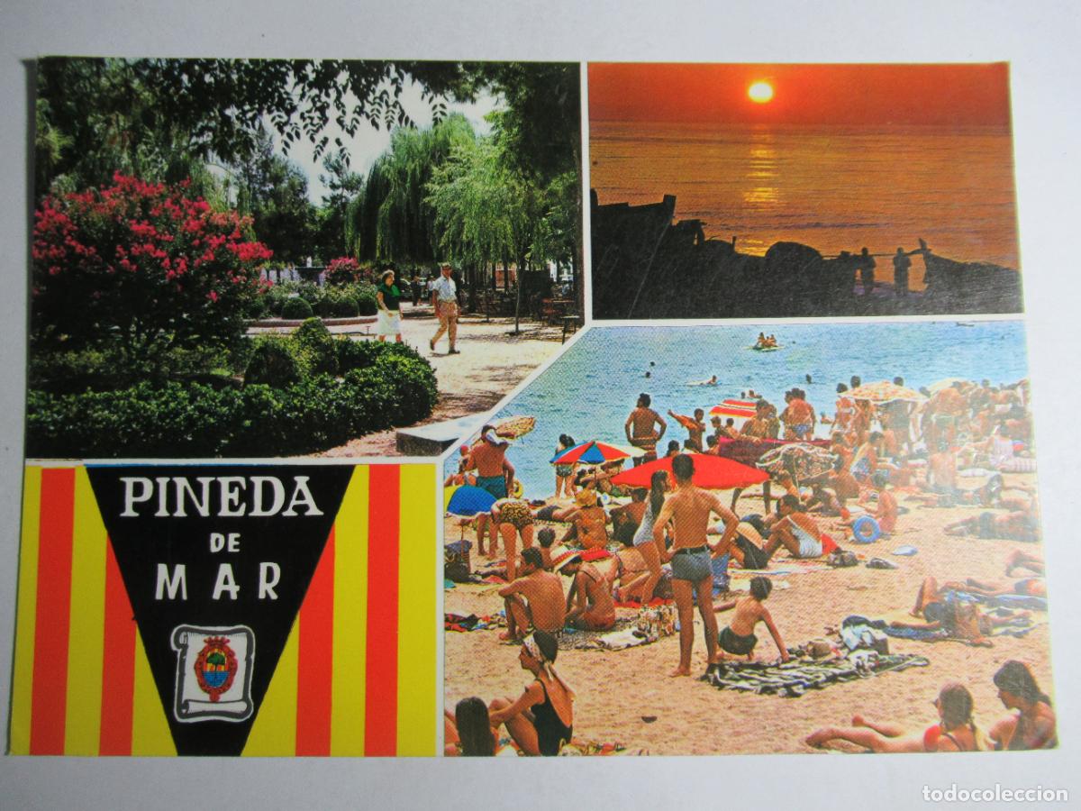 Postales: Pineda de Mar - Saludos desde - Foto 1